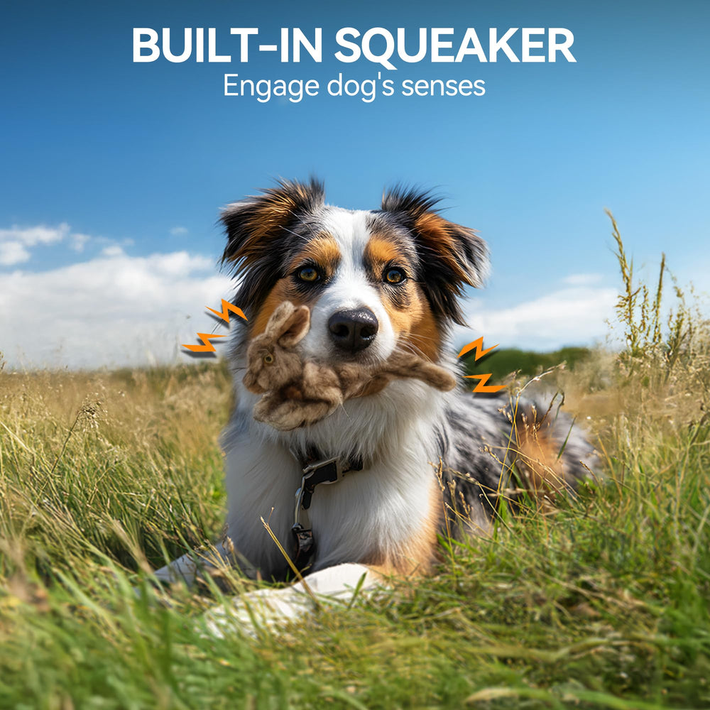 ALL FOR PAWS Jouet avec sifflet intégré pour un jeu interactif stimulant.