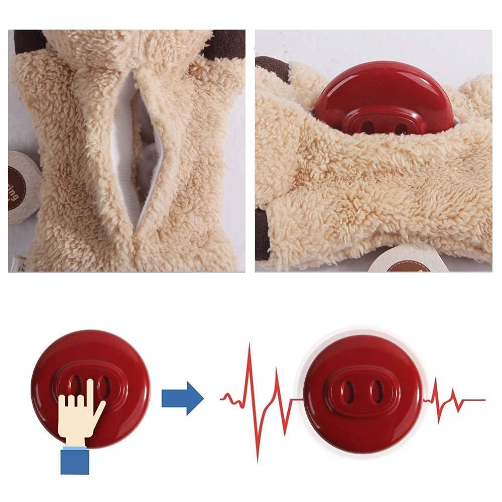 ALL FOR PAWS jouet chaton peluche: encourage le jeu sûr et interactif