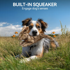 Jouet ALL FOR PAWS pour chien, utilisable intérieur et extérieur.