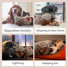 ALL FOR PAWS peluche douce et durable pour câlins sécurisés.