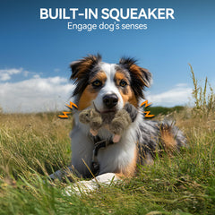 ALL FOR PAWS ecureuil realiste, stimule l instinct de jeu et de poursuite