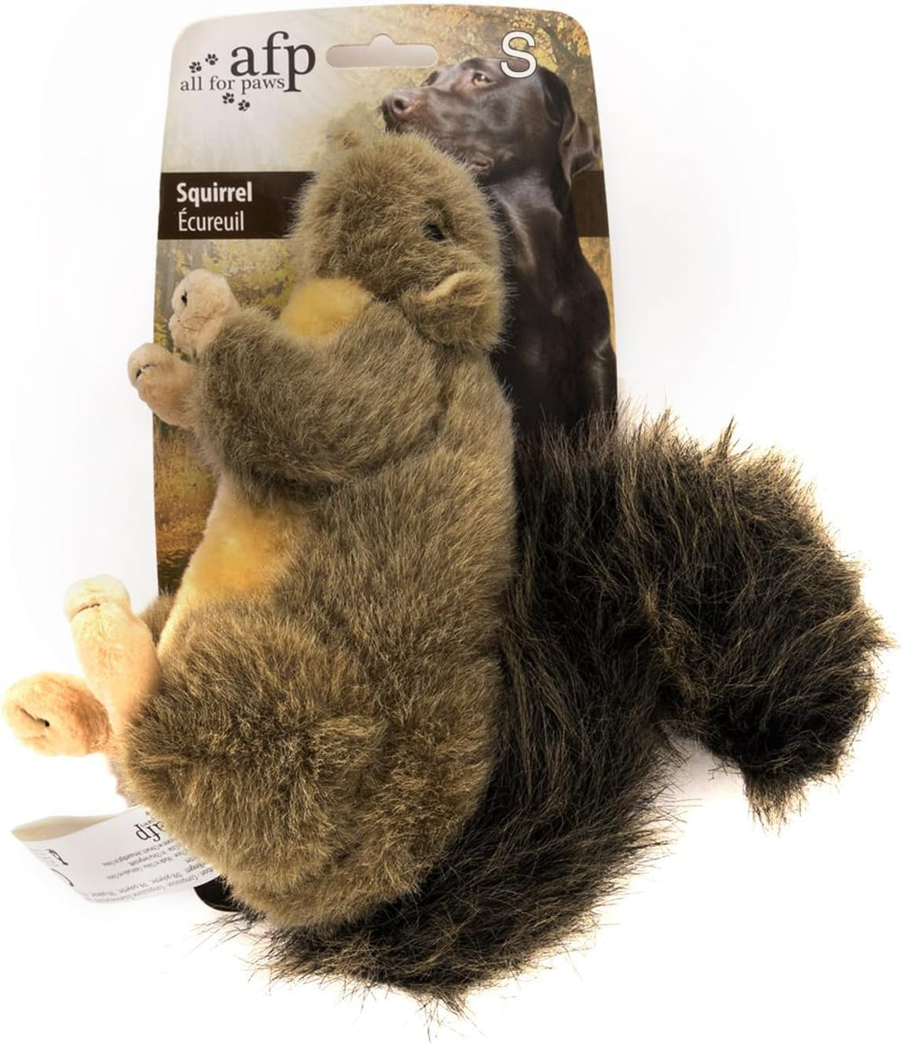 ALL FOR PAWS jouet ecureuil siffleur peluche, divertissant et interactif pour chien
