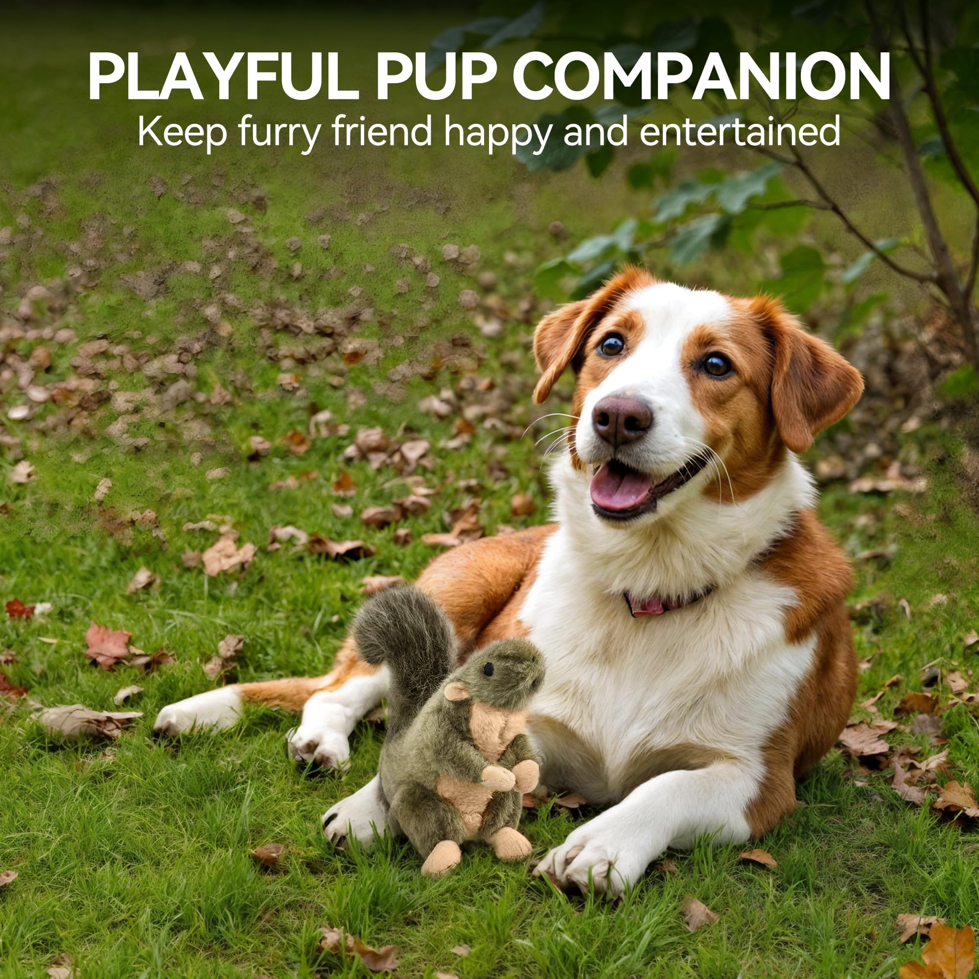 ALL FOR PAWS design moelleux, mordiller doux sans risque