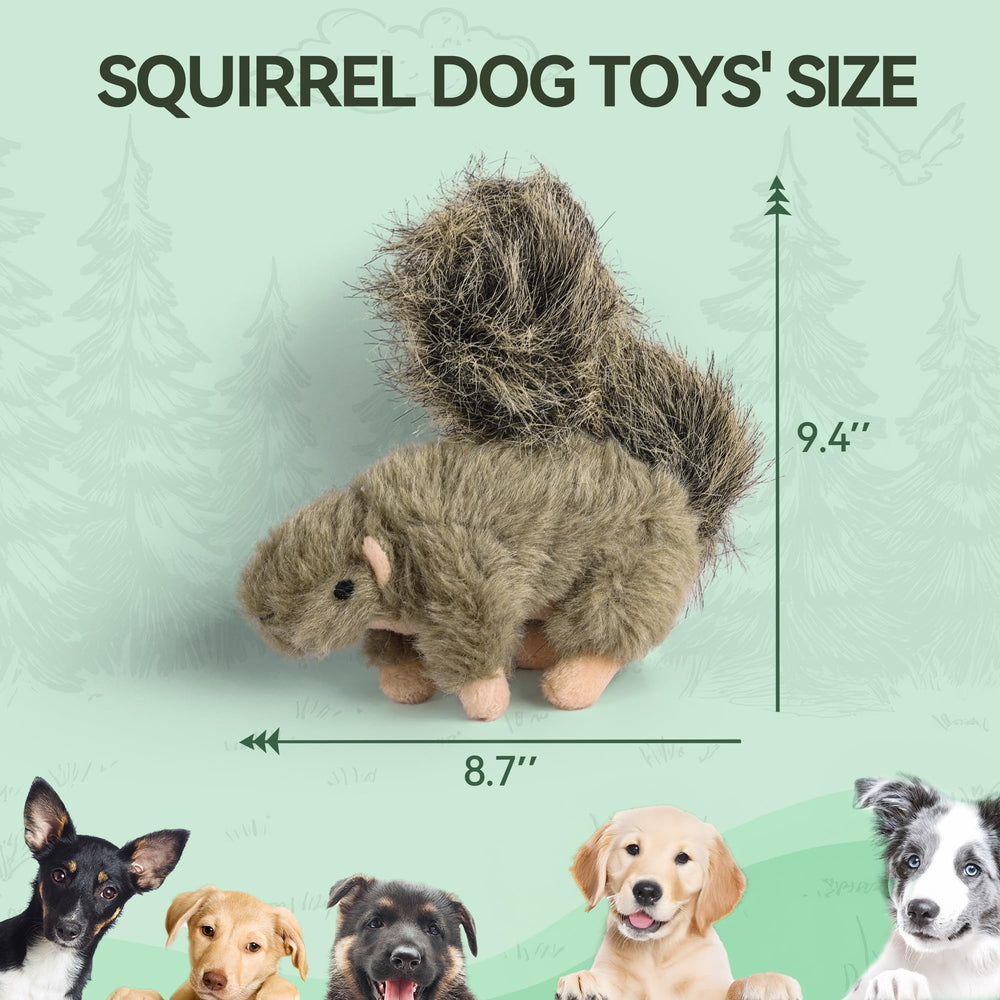 ALL FOR PAWS, jouet pour activité physique et jeu intérieur avec écureuil.