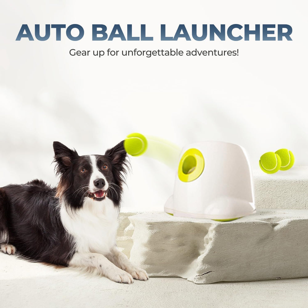 ALL FOR PAWS lanceur-balles-automatique batterie rechargeable prête à l’emploi