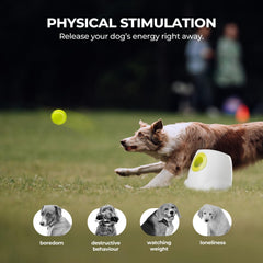 ALL FOR PAWS lanceur-balles-automatique distance courte parfait petits espaces