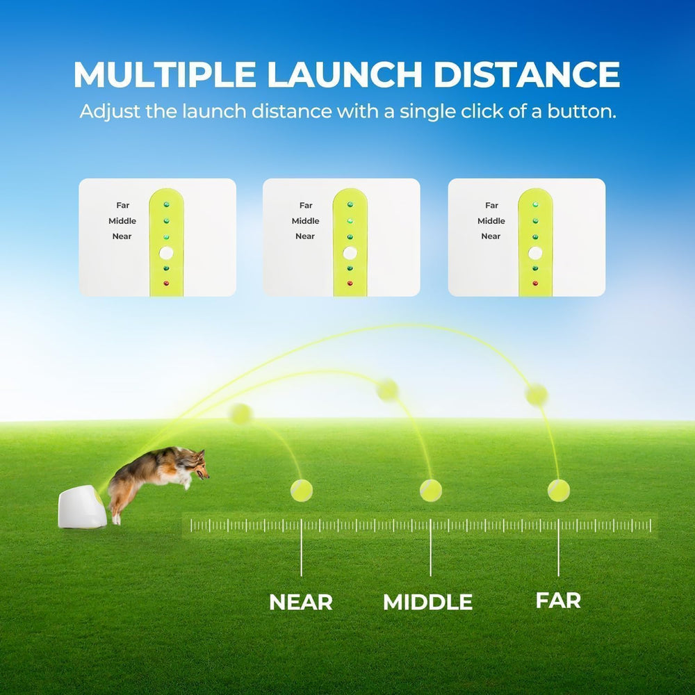 ALL FOR PAWS lanceur-balles-automatique distance longue pour sessions dynamiques