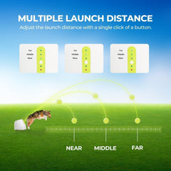 ALL FOR PAWS lanceur-balles-automatique distance longue pour sessions dynamiques