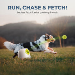 ALL FOR PAWS lanceur-balles-automatique distance moyenne pour chiens actifs