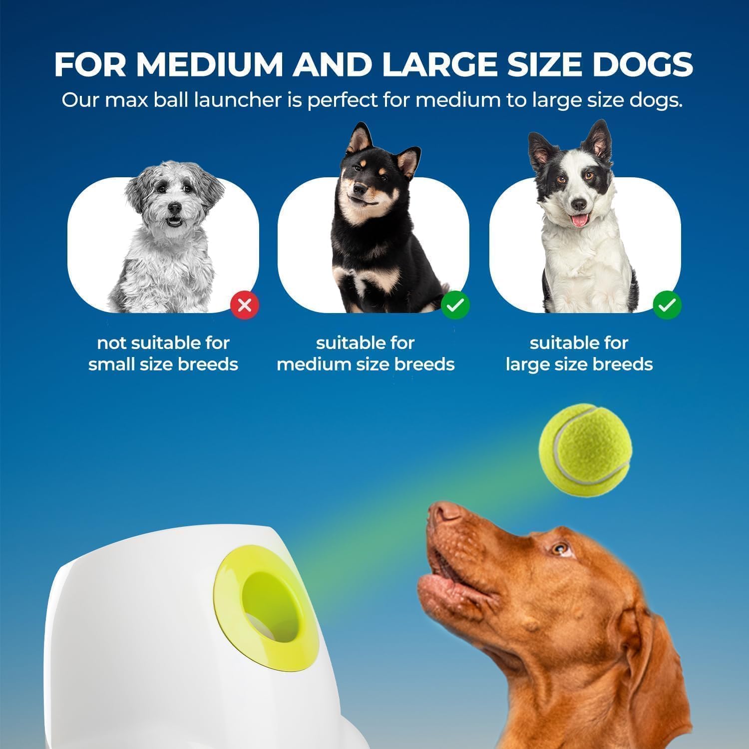 ALL FOR PAWS lanceur-balles-automatique usage intérieur et intérieur