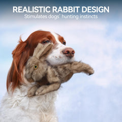 Lapin réaliste ALL FOR PAWS avec sifflet pour stimuler l’activité canine.