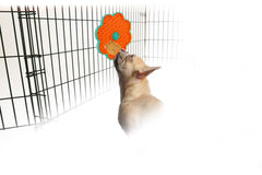 ALL FOR PAWS Lick Mat ralentisseur d alimentation prolongeant le repas