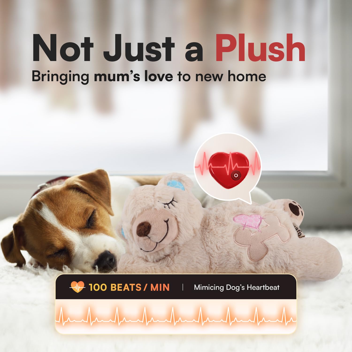 ALL FOR PAWS Little Buddy fonctionne avec piles AAA pour une utilisation pratique