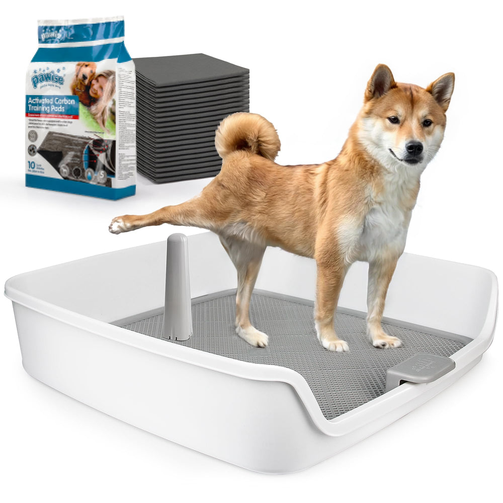 ALL FOR PAWS porte-tapis-pipi XL pour espace intérieur propre