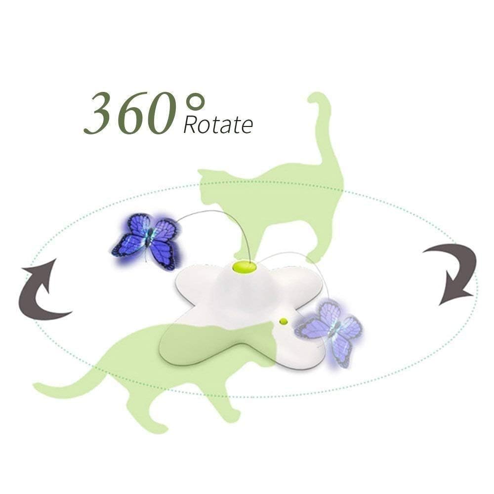 ALL FOR PAWS recharges papillon toupie – rotation à 360 degrés pour sessions dynamiques