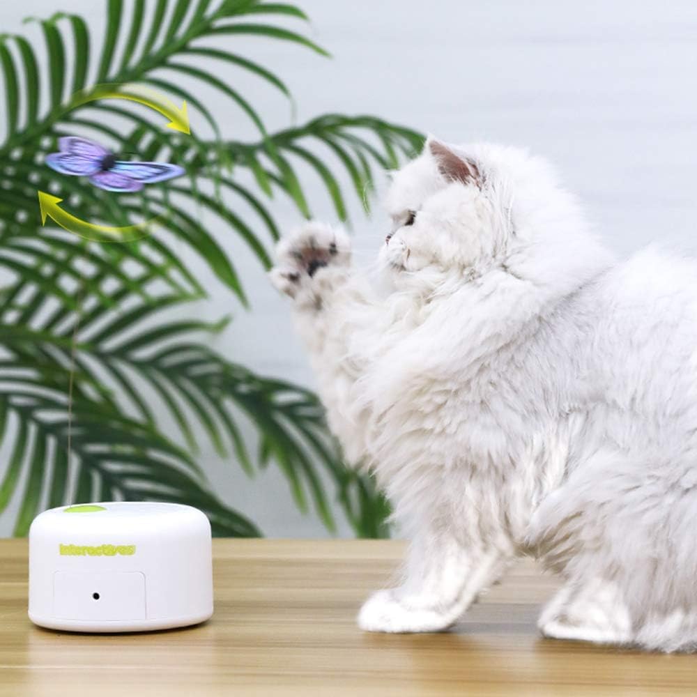 ALL FOR PAWS remplacements papillon toupie 360 – design sécurisé pour chats curieux