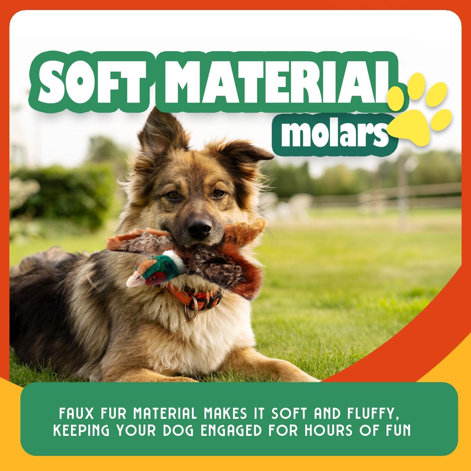 ALL FOR PAWS stimulation mentale – encourage curiosité et exploration.