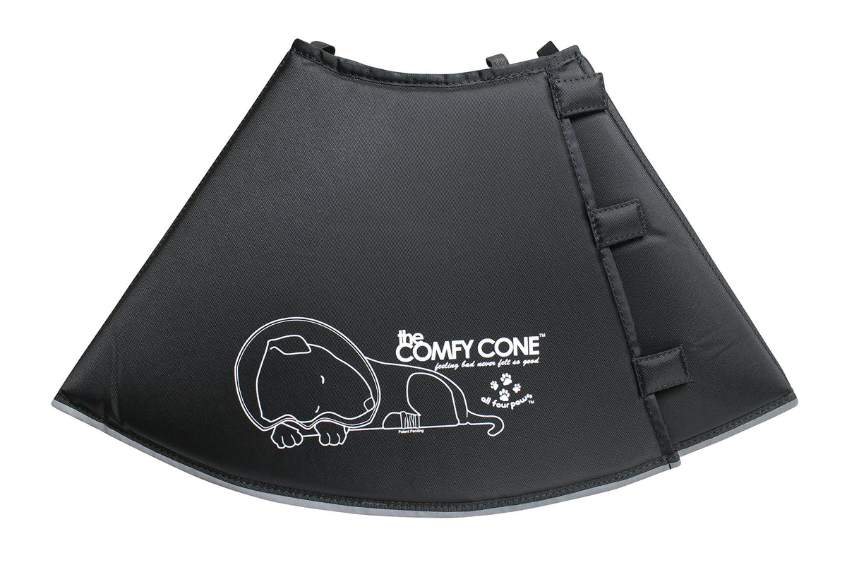 All Four Paws Comfy Cone vue d ensemble, soutien confortable pendant la récupération