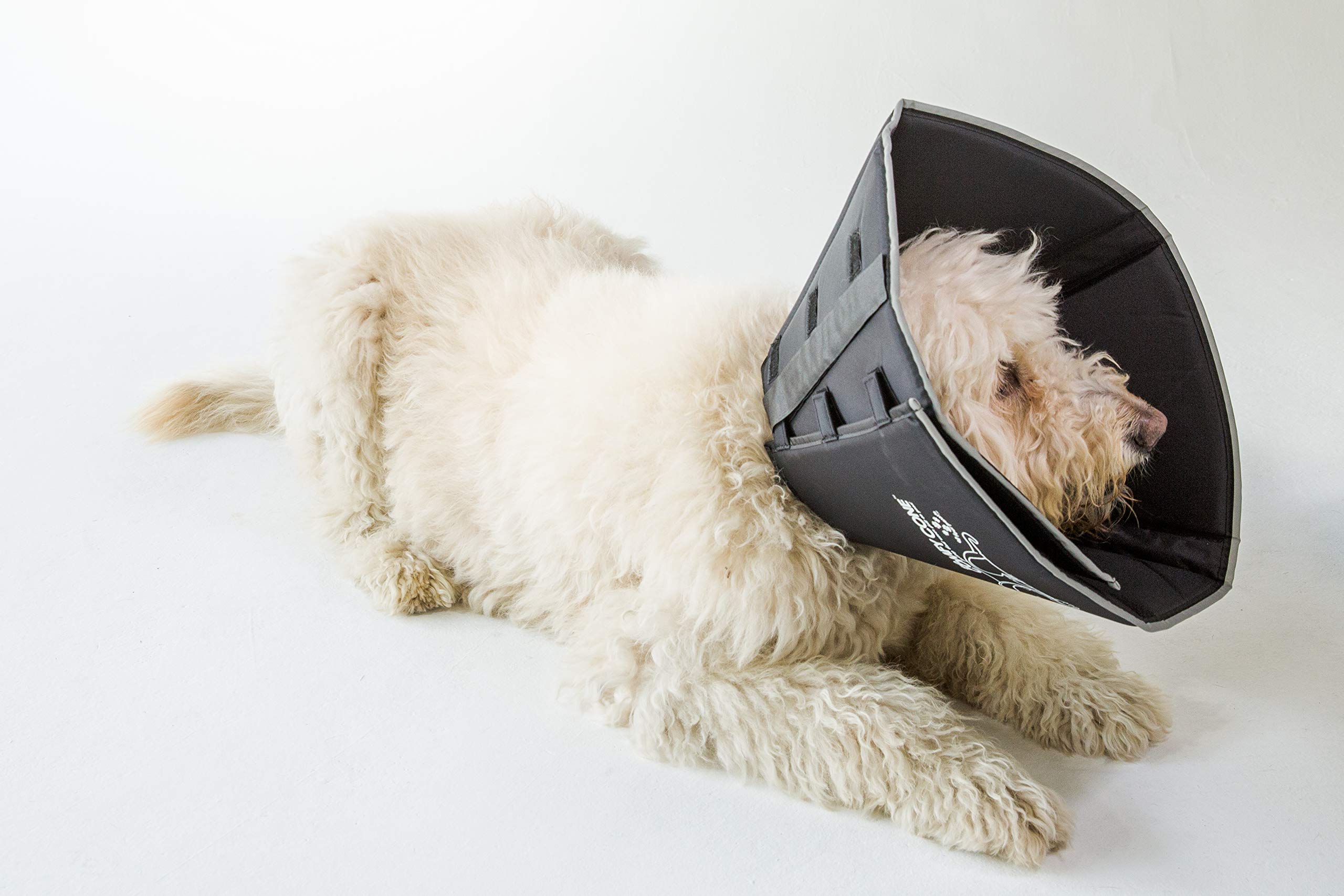 All Four Paws Comfy Cone avec stays plastiques amovibles pour plus de structure.