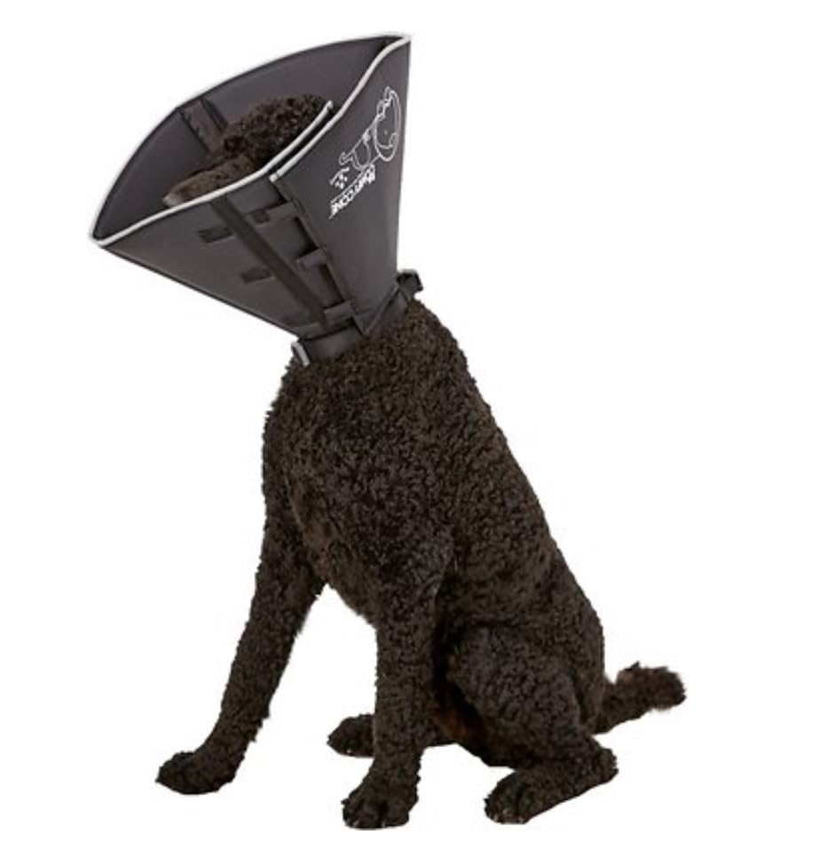 All Four Paws Comfy Cone utilisation quotidienne rapide avec collier intégré