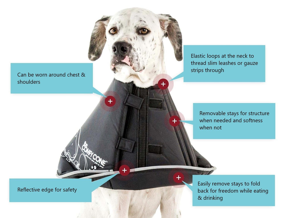 All Four Paws Comfy Cone XXL noir, boucles ajustables pour un enfilage facile.