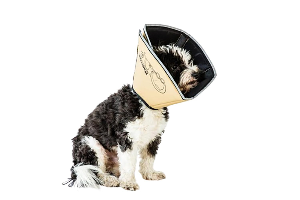 All Four Paws Comfy Cone, modele reversible, favorise le calme lors de la récupération.