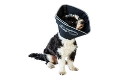 All Four Paws Cône Confortable en nylon rembourré pour le rétablissement en douceur