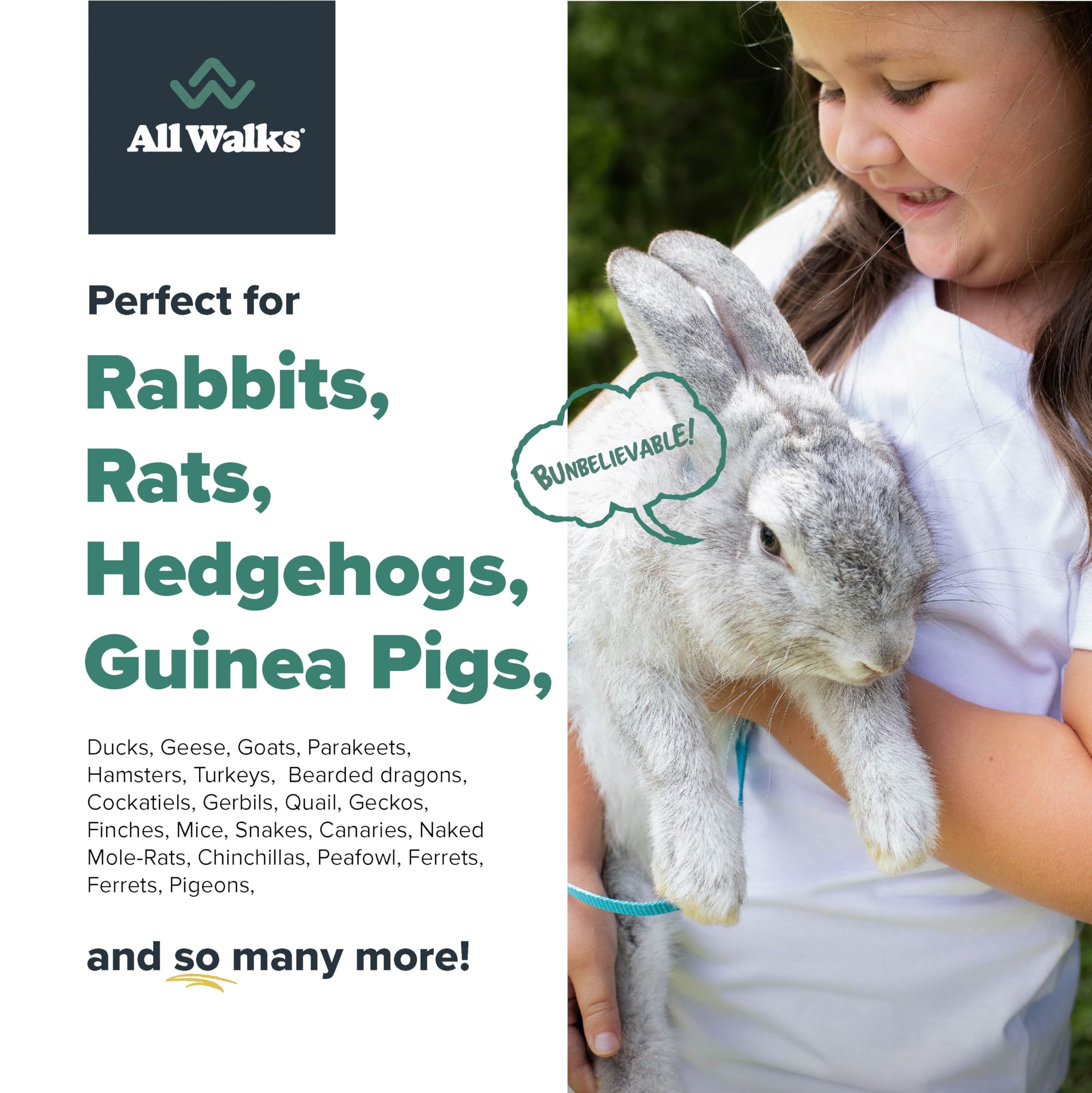All Walks Hemp Bedding adapté aux lapins, hamsters et autres petits animaux.