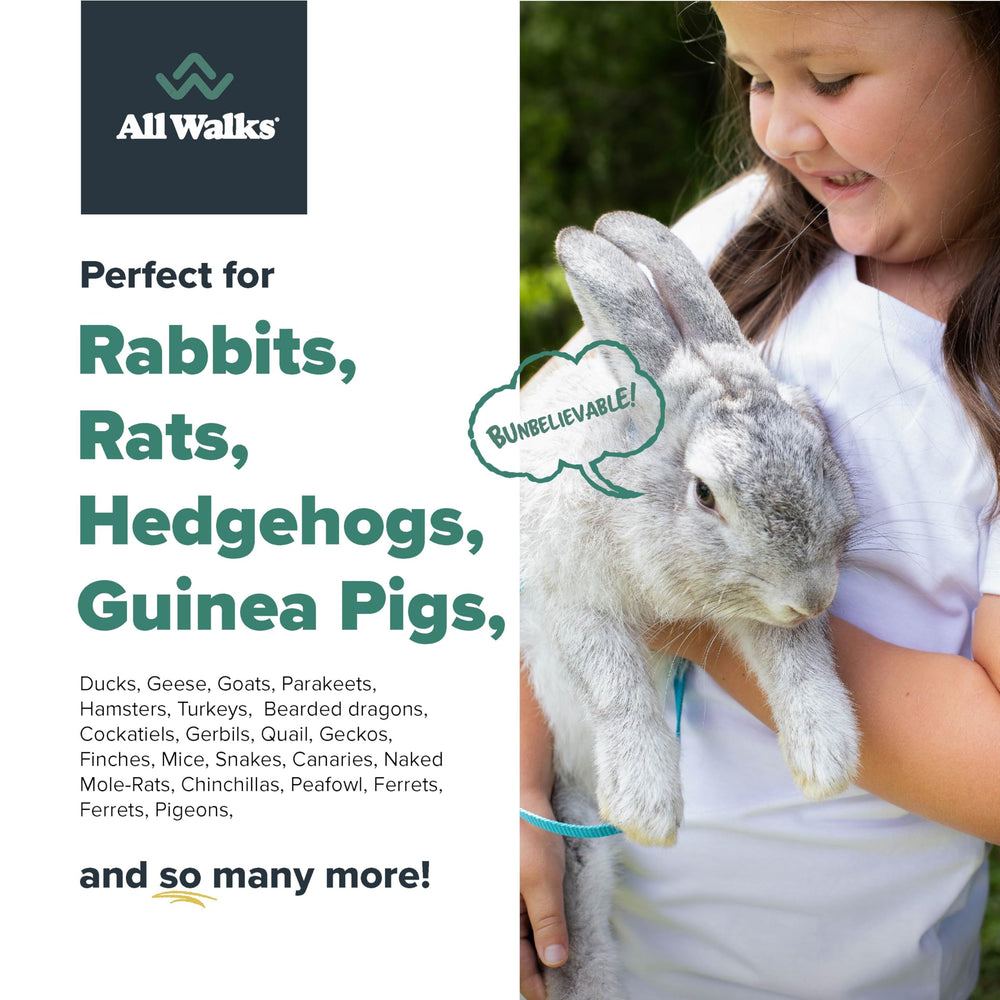 All Walks Hemp Bedding adapté aux lapins, hamsters et autres petits animaux.