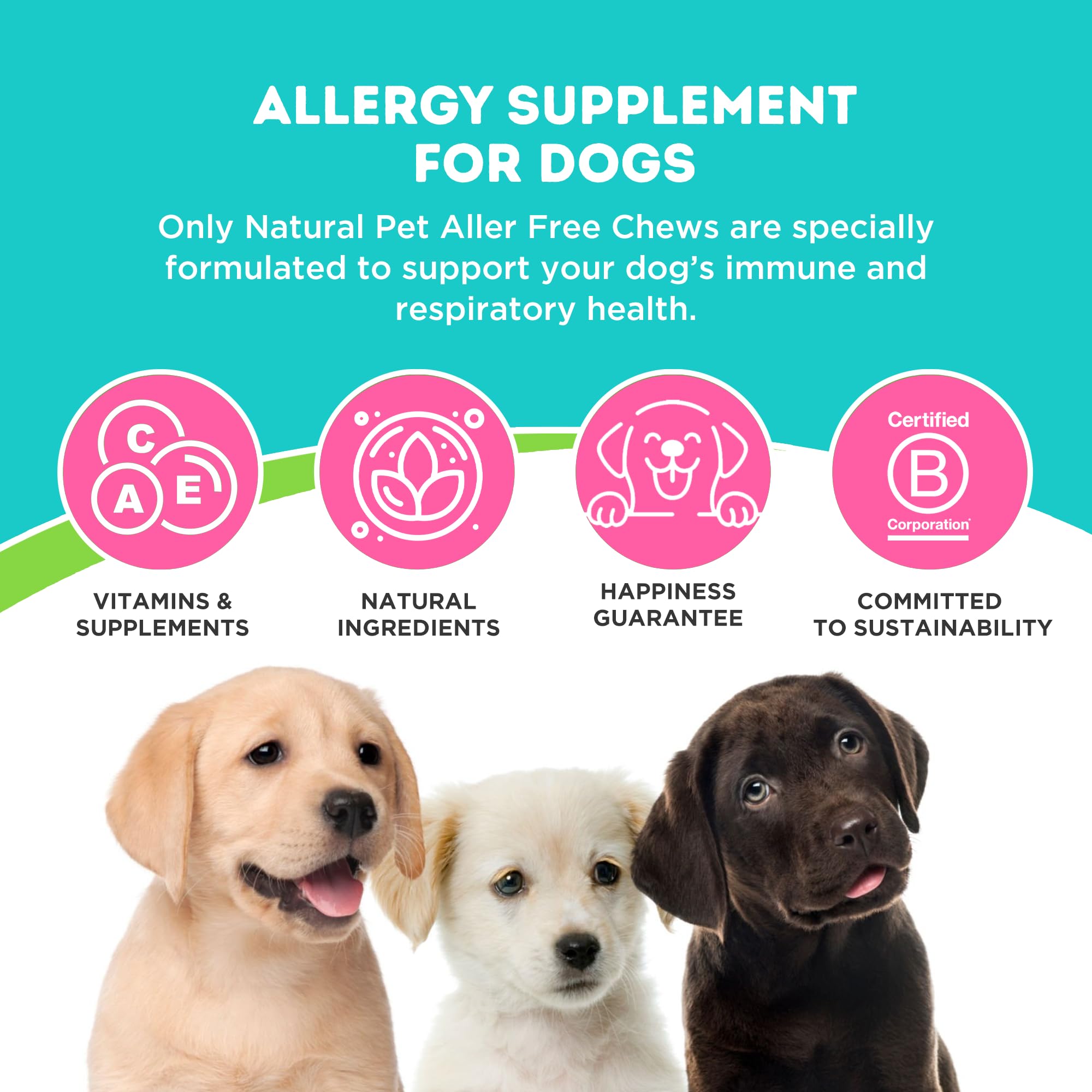 Gommes bacon AllerFree pour chien, appétence et soutien quotidien