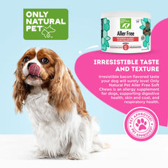 Chien mâchant des gommes AllerFree, peau et pelage potentiellement sains