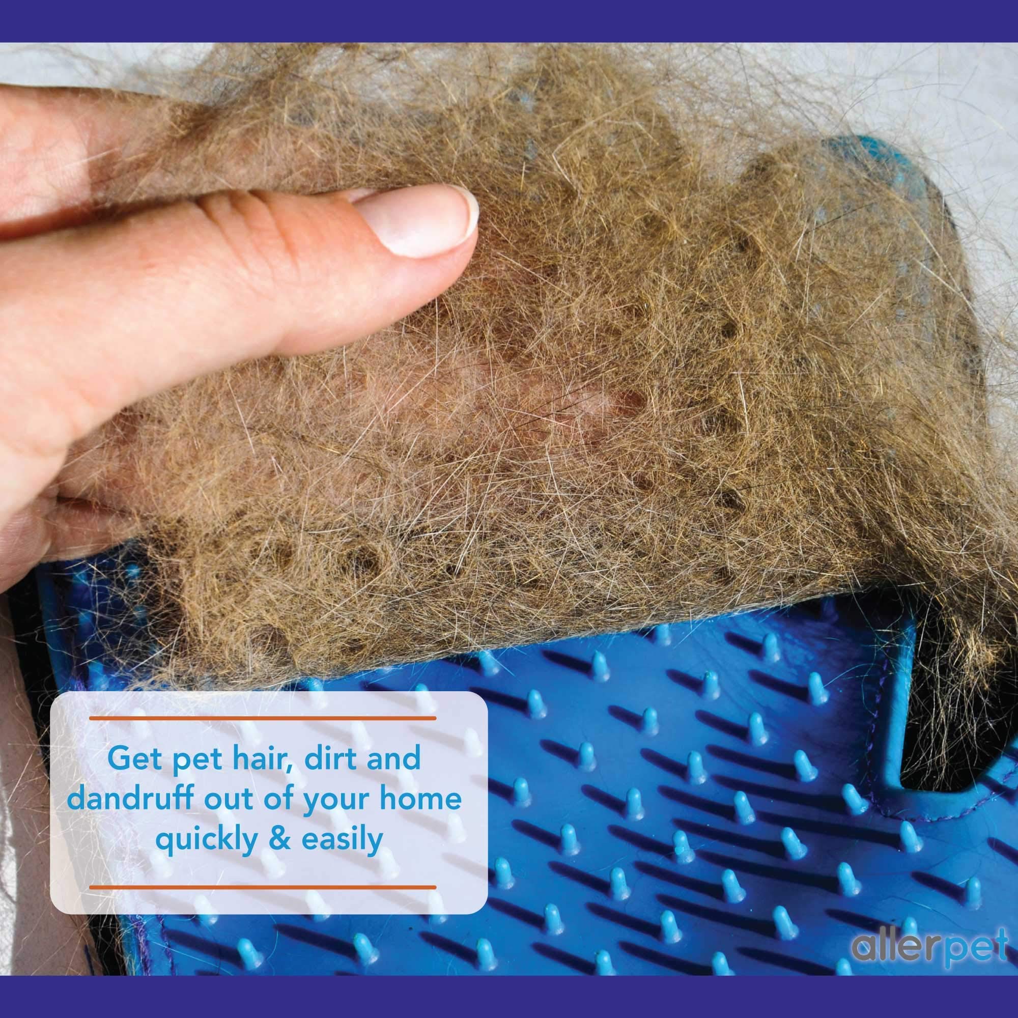 Allerpet: nettoyage rapide du pelage avec lingette humide.