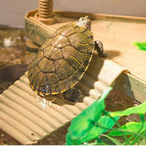 Allpdesky Turtle Pier : base triangulaire stable dans l’aquarium.