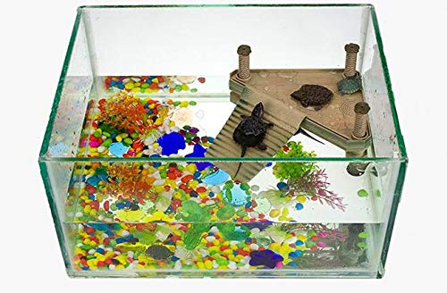 Allpdesky Turtle Pier : installation simple dans 10 gallons ou plus.