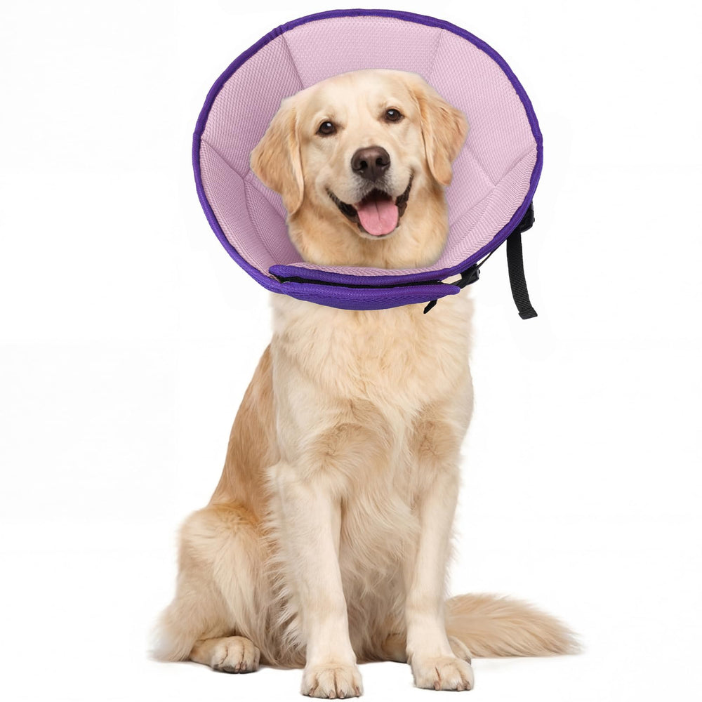 Allroaring collier-cone doux pour grand chien, confort pendant la récupération.