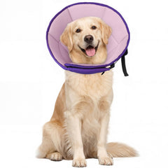 Allroaring collier-cone doux pour grand chien, confort pendant la récupération.
