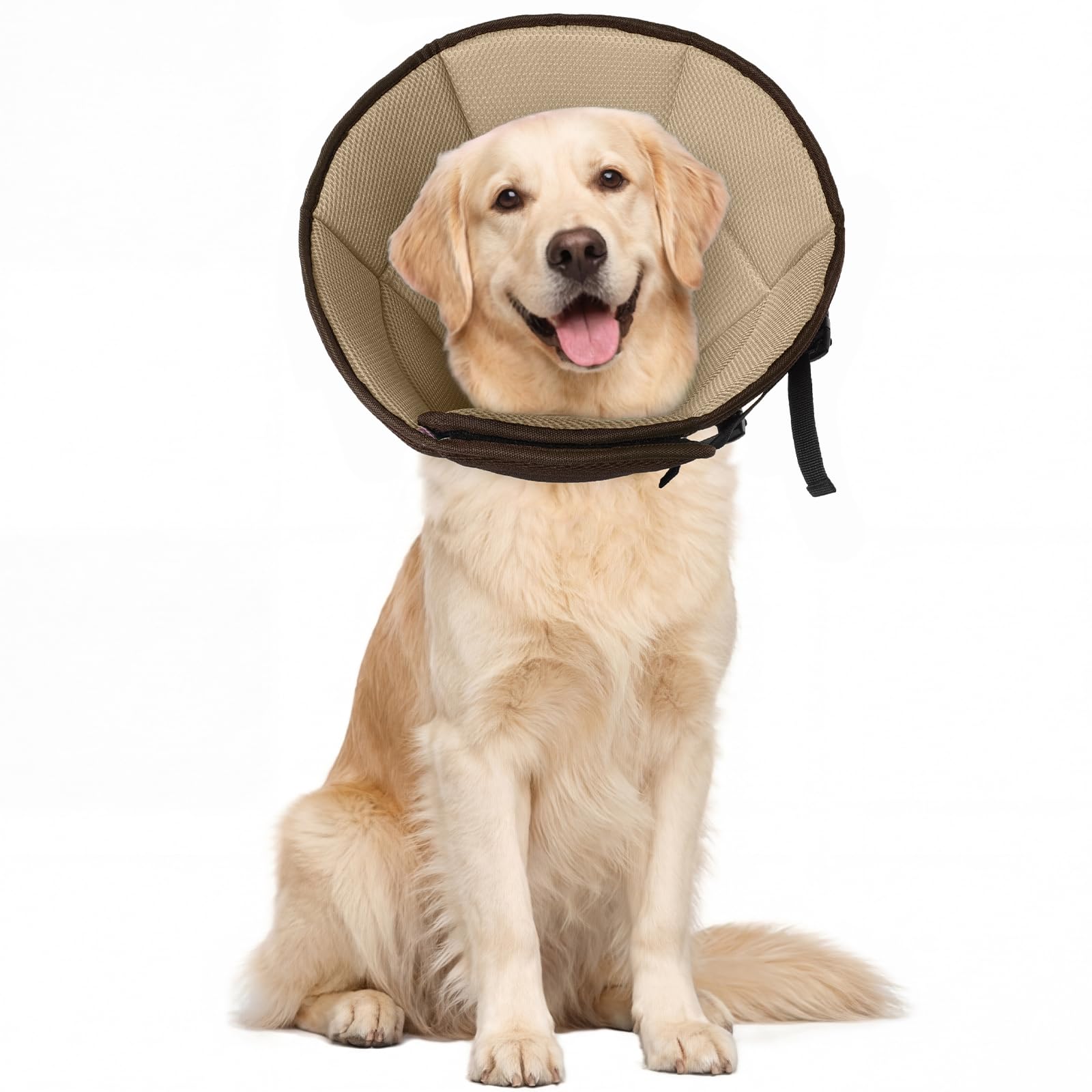 Allroaring collier conique doux pour grands chiens, confort post-chirurgie