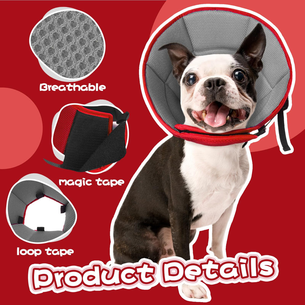 Allroaring collier conique reglable pour chien, ajuste facilement et confort.