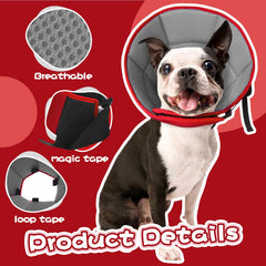 Allroaring collier conique reglable pour chien, ajuste facilement et confort.