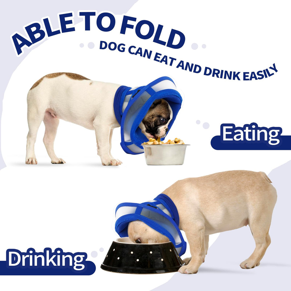 Allroaring cone-chien bleu xl compatible avec toutes les grandes races.