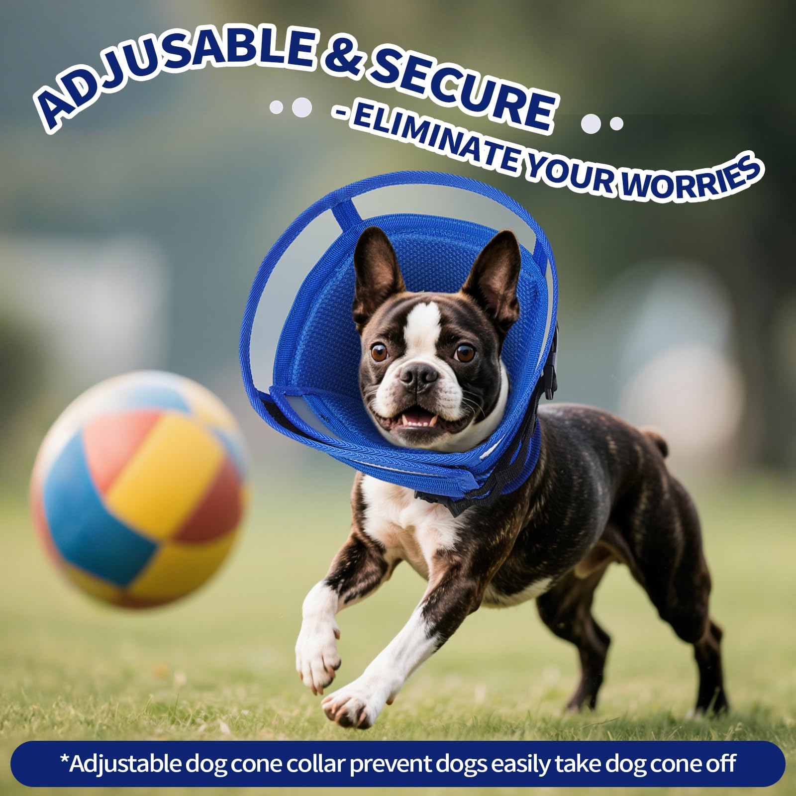 Allroaring cone-chien bleu xl utilisation quotidienne facile pour les soins.
