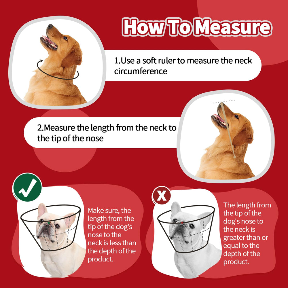 Allroaring cone chien leger et confortable favorisant repos et alimentation.
