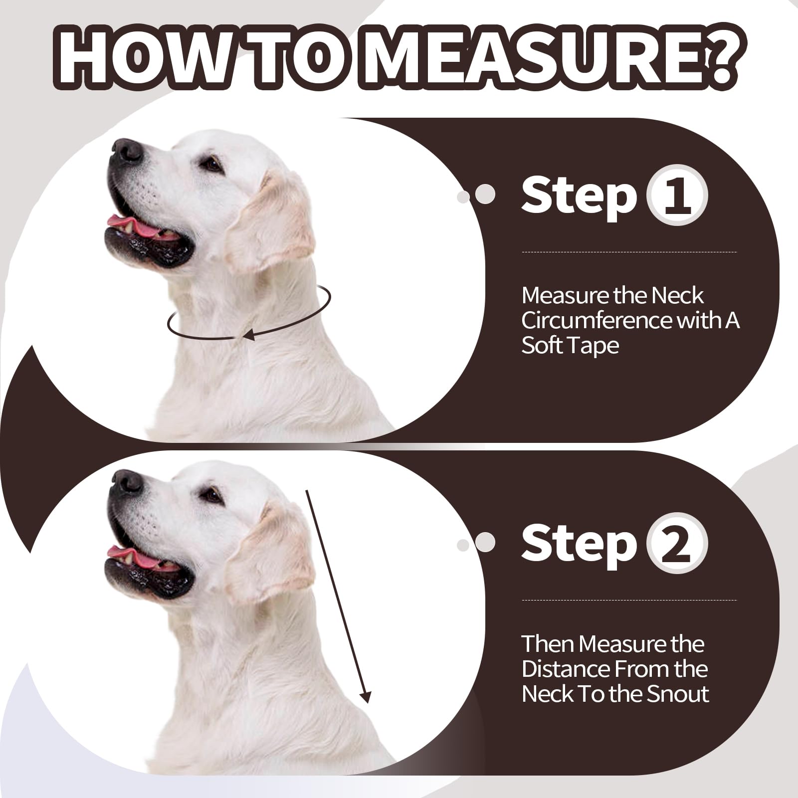 Allroaring cone chien, mise en place rapide, utilisation simple.