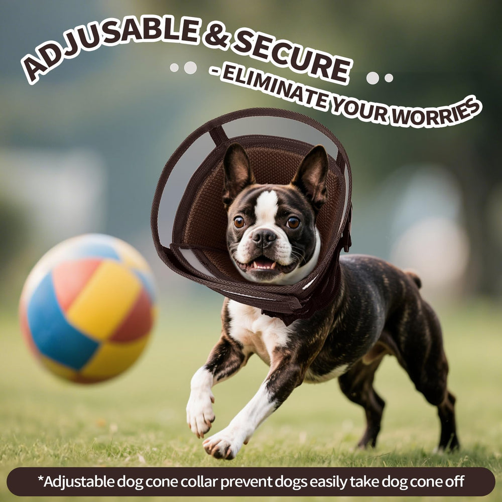 Allroaring cone chien toutes races, vue générale du design robuste.