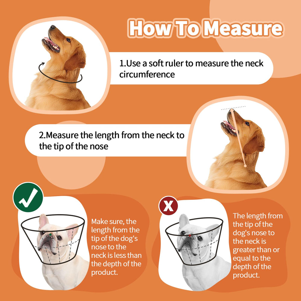 Allroaring Cône grand chien – mesh respirant pour plus de confort.
