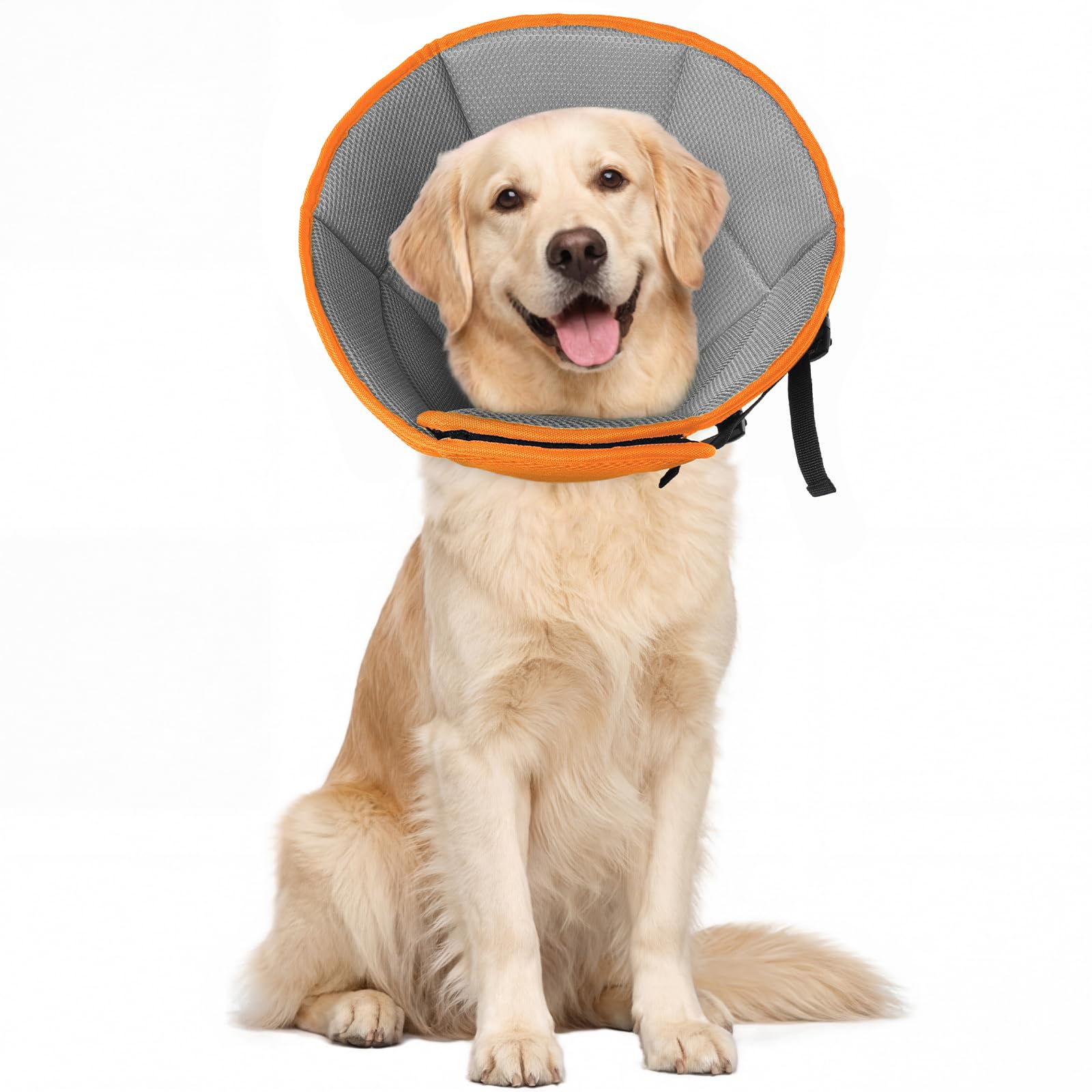 Allroaring Cône grand chien – mesure-guide: ajustement confortable.