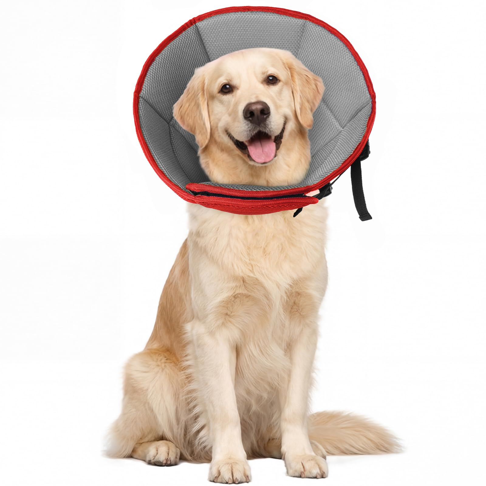 Allroaring cône doux pour chien grand, protège plaie après chirurgie et favorise le repos.