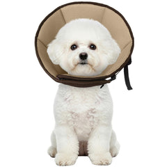 Allroaring cone recuperation petit-chien : protege les plaies pendant la convalescence.