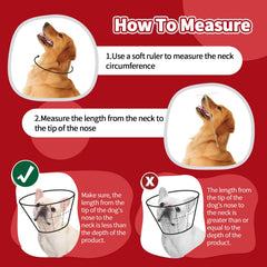 Allroaring cône respirant léger pour chien grand, assure une bonne circulation d'air.