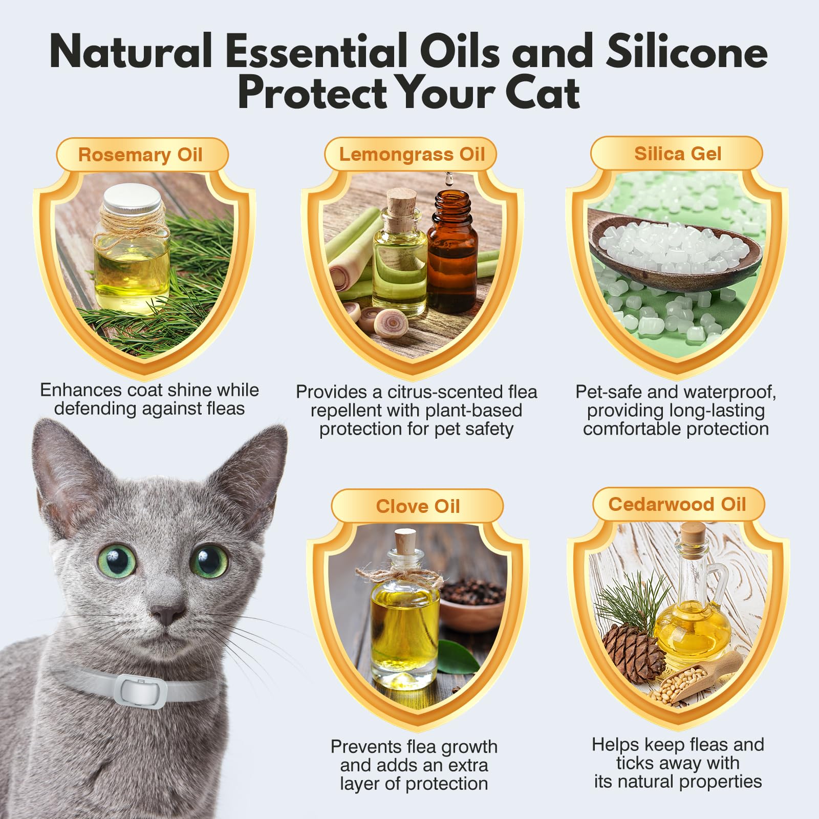Gros plan sur les ingrédients naturels du collier Allyeah pour chats.